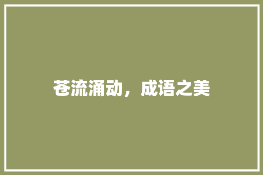 苍流涌动，成语之美