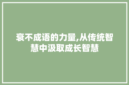 衰不成语的力量,从传统智慧中汲取成长智慧
