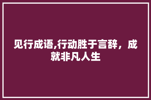 见行成语,行动胜于言辞，成就非凡人生