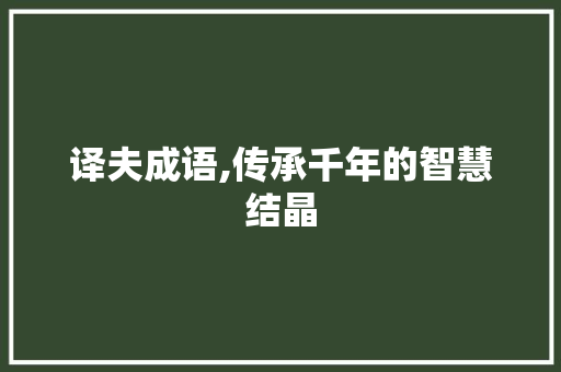 译夫成语,传承千年的智慧结晶