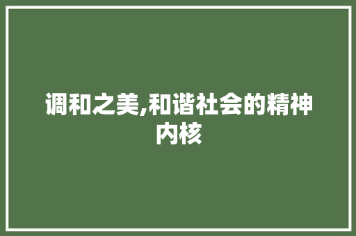调和之美,和谐社会的精神内核 会议纪要