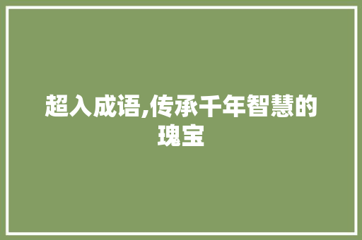 超入成语,传承千年智慧的瑰宝