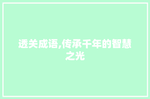 透关成语,传承千年的智慧之光