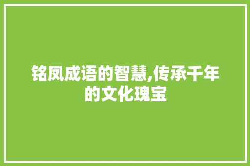 铭凤成语的智慧,传承千年的文化瑰宝