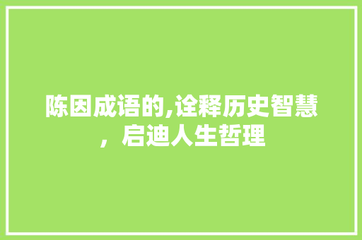 陈因成语的,诠释历史智慧，启迪人生哲理