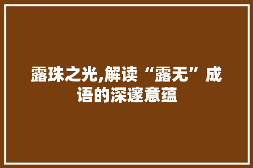 露珠之光,解读“露无”成语的深邃意蕴