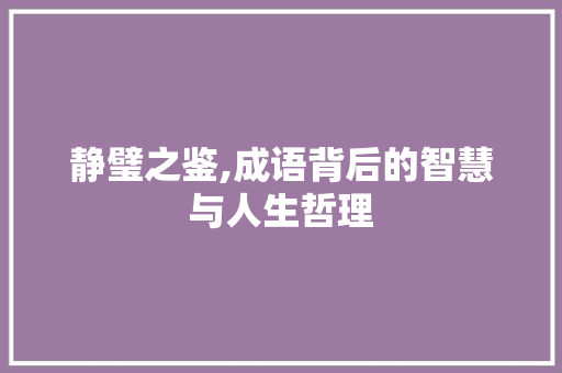 静璧之鉴,成语背后的智慧与人生哲理