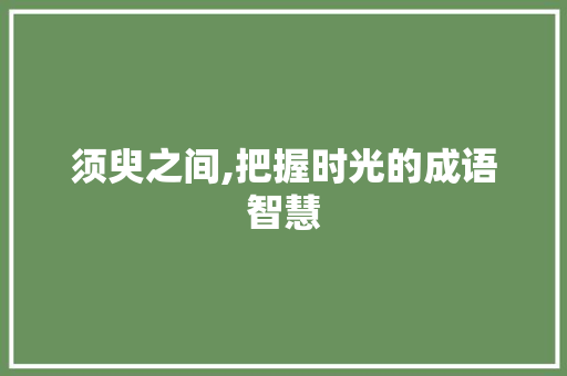 须臾之间,把握时光的成语智慧