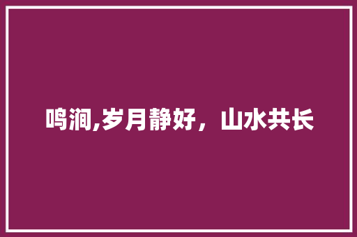 鸣涧,岁月静好，山水共长