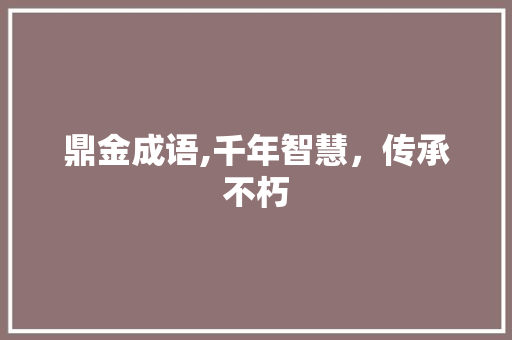 鼎金成语,千年智慧，传承不朽