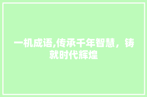 一机成语,传承千年智慧，铸就时代辉煌
