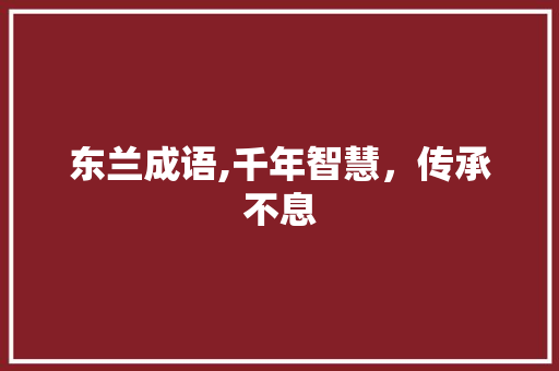 东兰成语,千年智慧，传承不息