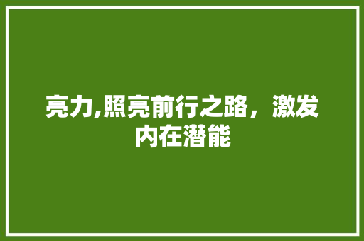 亮力,照亮前行之路，激发内在潜能