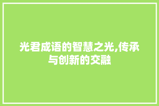 光君成语的智慧之光,传承与创新的交融