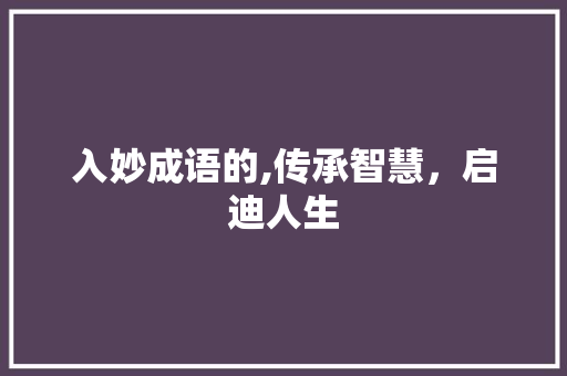 入妙成语的,传承智慧，启迪人生