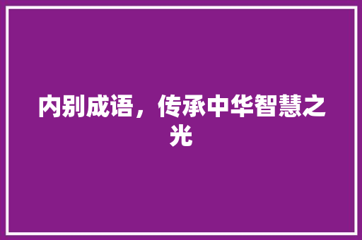 内别成语，传承中华智慧之光