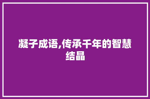 凝子成语,传承千年的智慧结晶