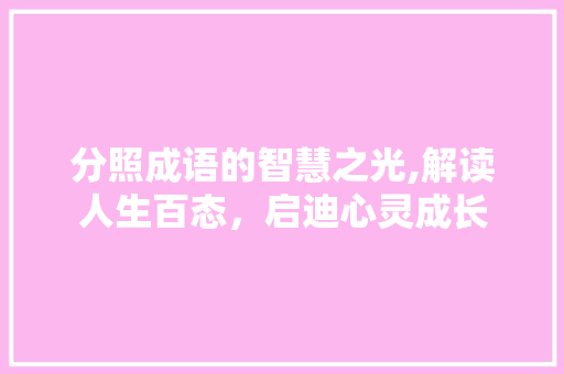 分照成语的智慧之光,解读人生百态，启迪心灵成长
