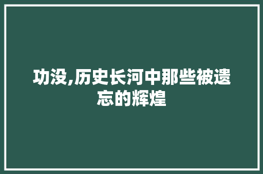 功没,历史长河中那些被遗忘的辉煌