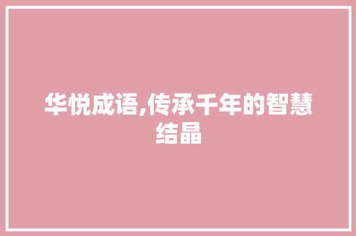 华悦成语,传承千年的智慧结晶