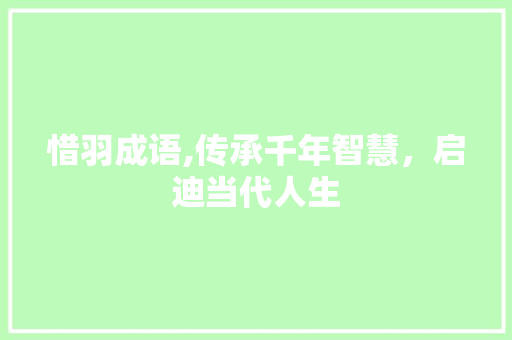 惜羽成语,传承千年智慧，启迪当代人生