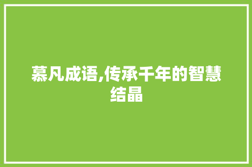 慕凡成语,传承千年的智慧结晶