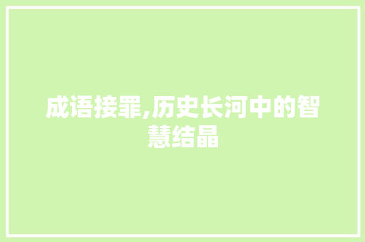 成语接罪,历史长河中的智慧结晶