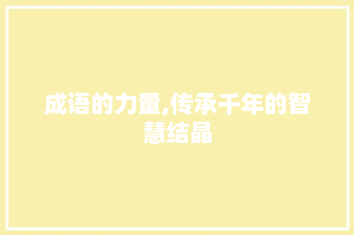 成语的力量,传承千年的智慧结晶