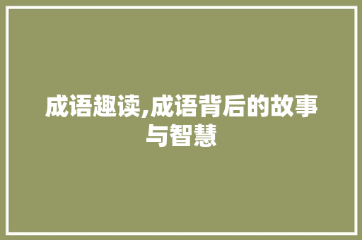 成语趣读,成语背后的故事与智慧 职场写作