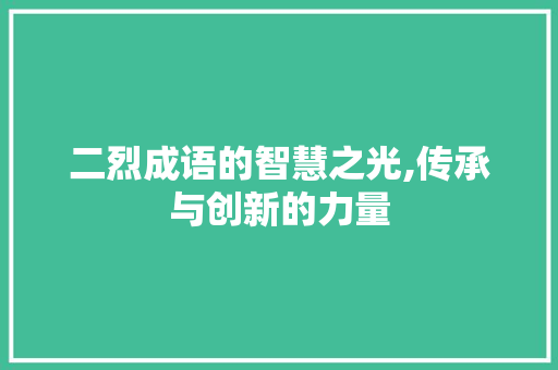 二烈成语的智慧之光,传承与创新的力量