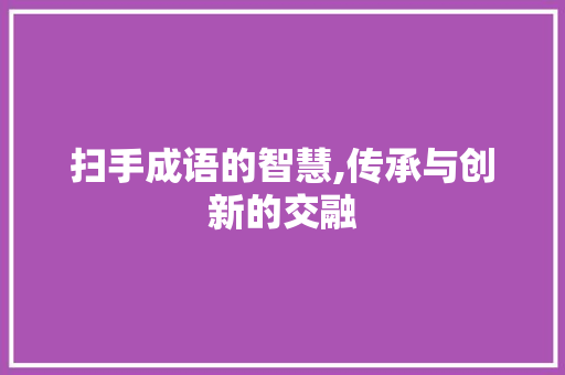 扫手成语的智慧,传承与创新的交融