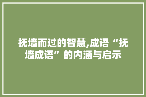 抚墙而过的智慧,成语“抚墙成语”的内涵与启示