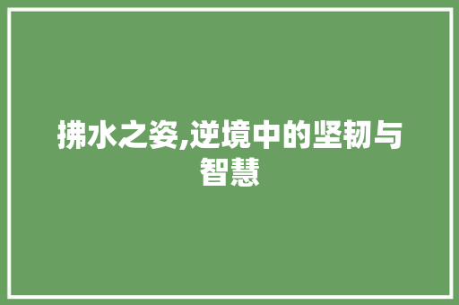 拂水之姿,逆境中的坚韧与智慧