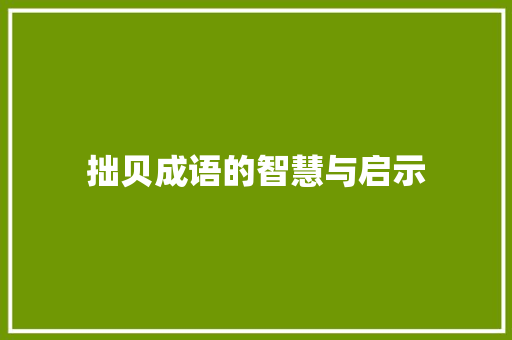 拙贝成语的智慧与启示
