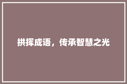 拱挥成语，传承智慧之光