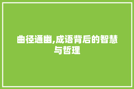 曲径通幽,成语背后的智慧与哲理