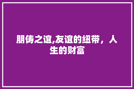 朋俦之谊,友谊的纽带，人生的财富