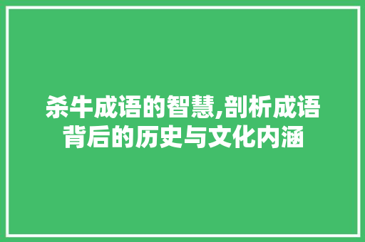 杀牛成语的智慧,剖析成语背后的历史与文化内涵