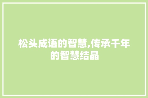 松头成语的智慧,传承千年的智慧结晶
