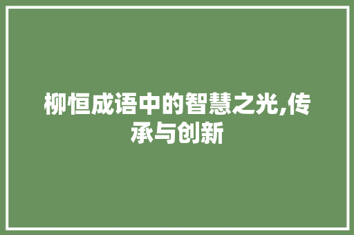 柳恒成语中的智慧之光,传承与创新