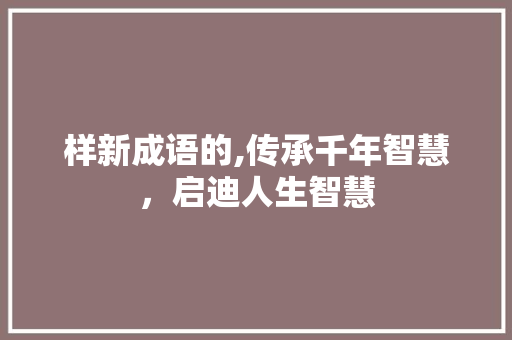 样新成语的,传承千年智慧，启迪人生智慧