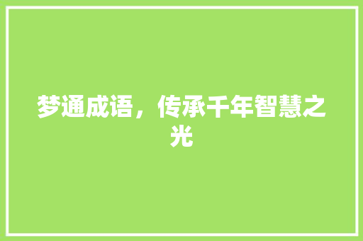 梦通成语，传承千年智慧之光