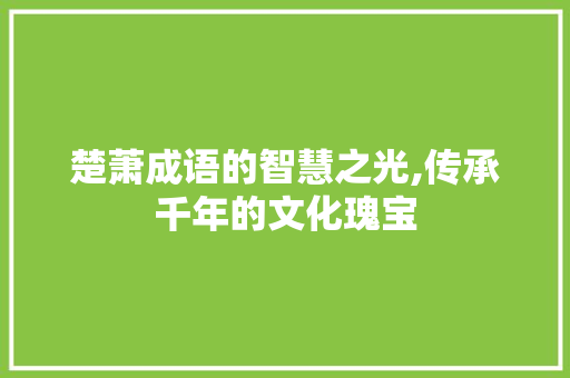 楚萧成语的智慧之光,传承千年的文化瑰宝