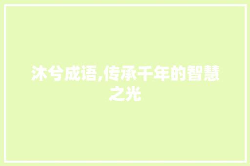 沐兮成语,传承千年的智慧之光