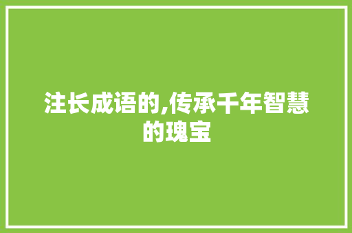 注长成语的,传承千年智慧的瑰宝
