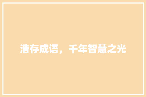 浩存成语，千年智慧之光