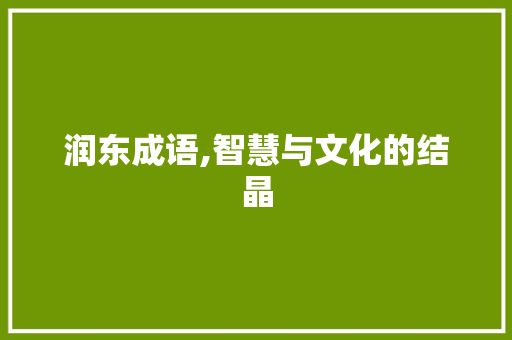 润东成语,智慧与文化的结晶