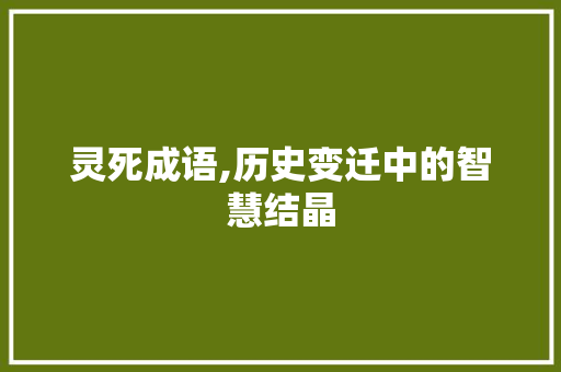 灵死成语,历史变迁中的智慧结晶