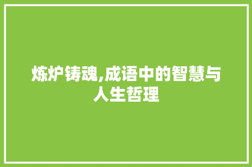 炼炉铸魂,成语中的智慧与人生哲理