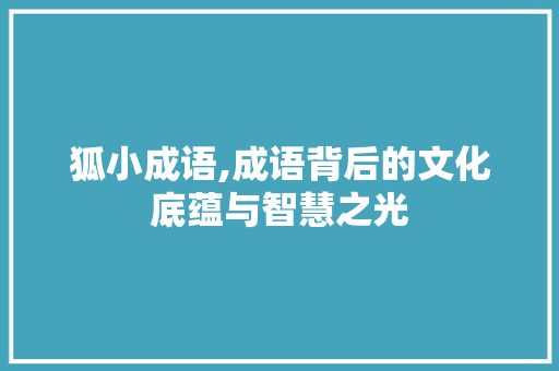 狐小成语,成语背后的文化底蕴与智慧之光
